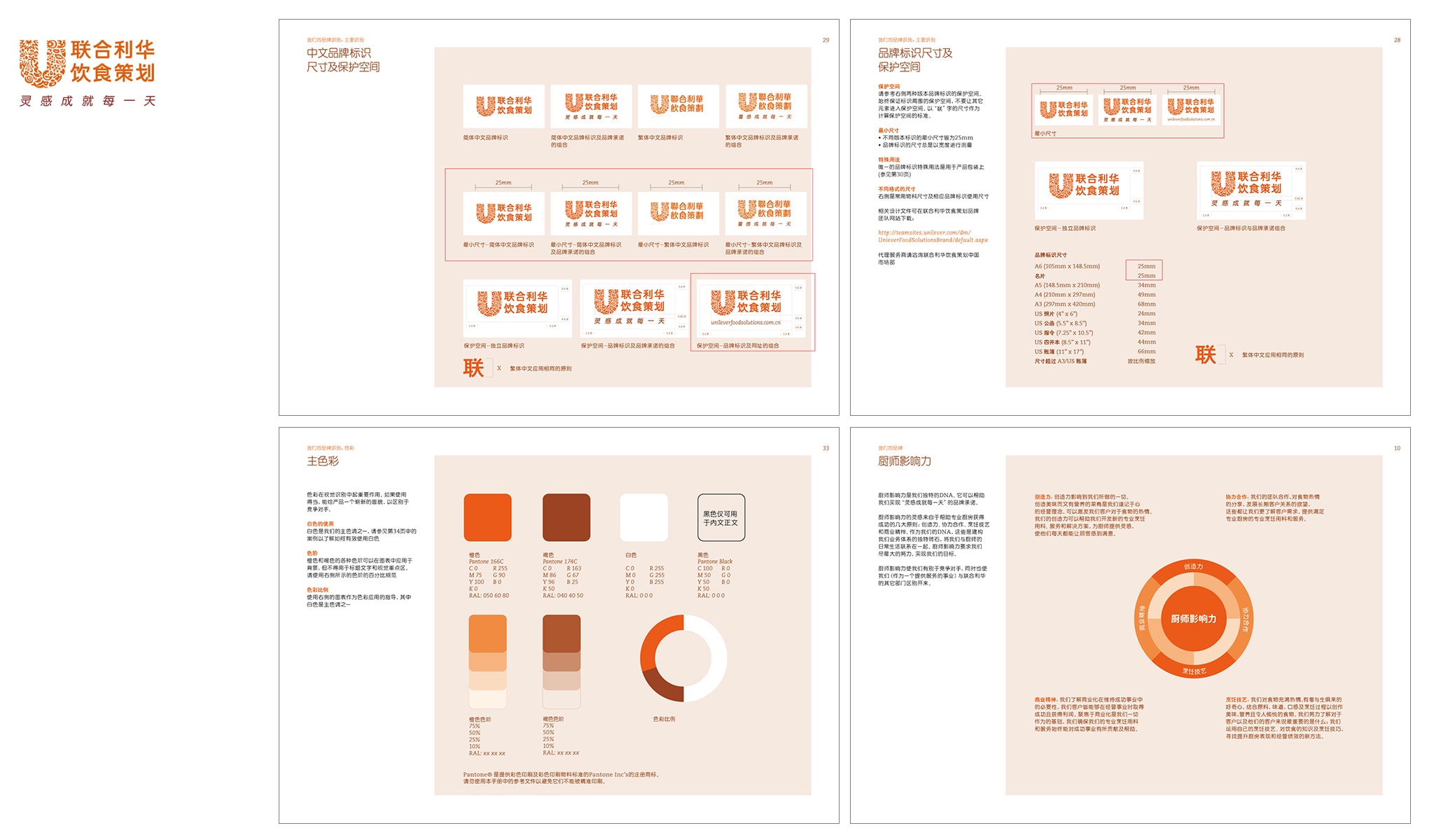 Unilever Food Solutions VI Guidelines